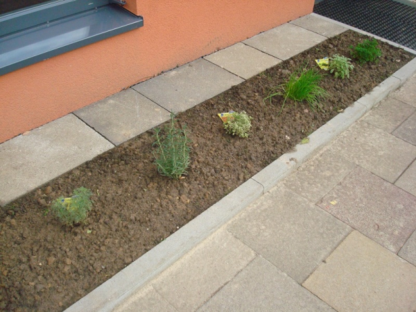 Unser Außengelände ermöglicht den Kindern vielfältige Naturerfahrungen, z.B. ein Kräuterbeet.